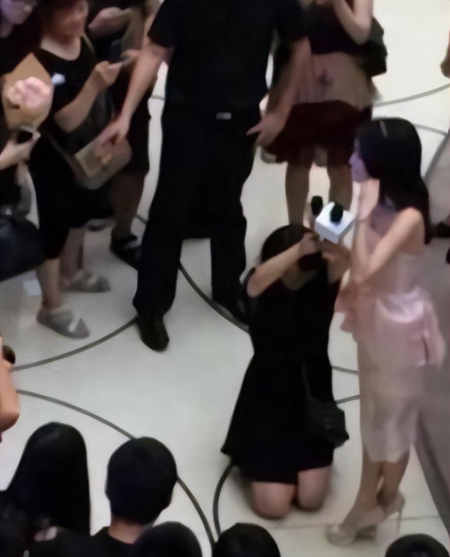 明星麦克风，自然之旅的心灵探寻，寻找内心的宁静之声