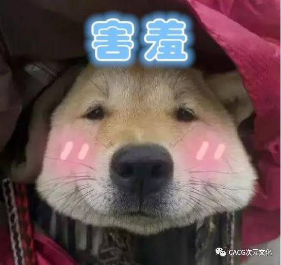 最新狗狗动画大盘点