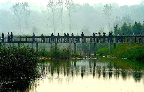 新乡凤泉湖最新动态,发展与保护的双向思考之旅