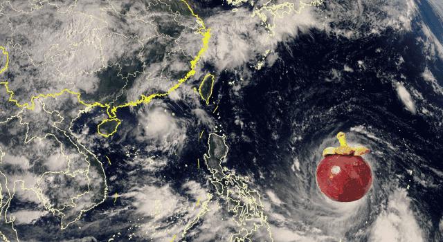 广西天鸽台风最新动态，逆风翱翔，学习铸就自信与力量