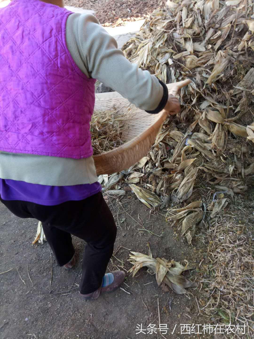 彬县撤县设区最新进展，最新动态更新