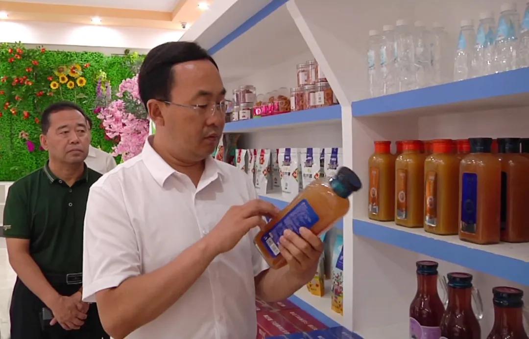 谋局深度角色与演员匹配解析,演员表一览无余