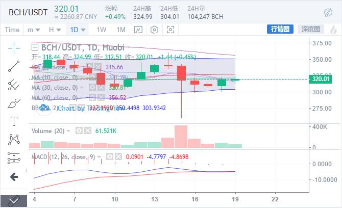 BCH今日价格变动下的励志之旅，自信与成就感的探寻之路