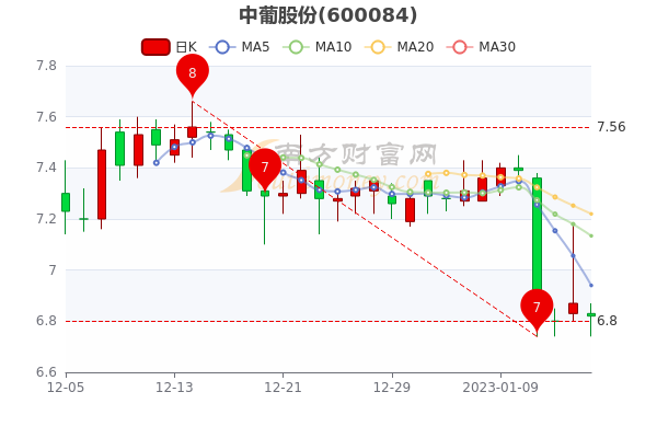 中葡股份股票行情深度分析与展望，未来走势展望及行业前景预测。