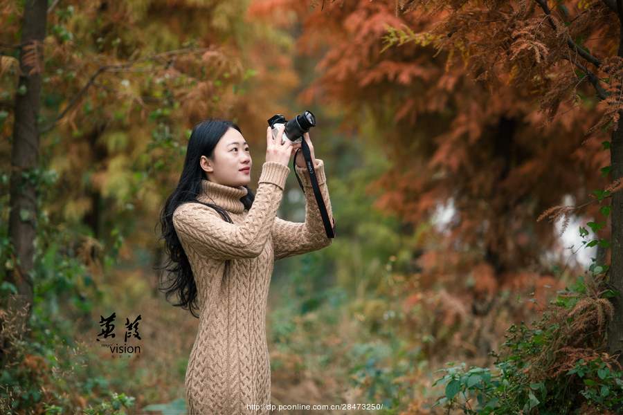 伊人在线电影，探索现代网络影视的新境界