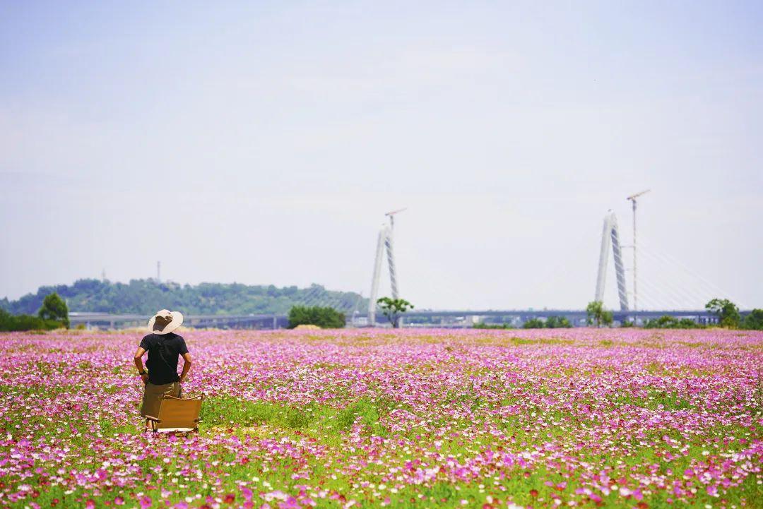 陈小北聚焦科技前沿，引领创新潮流新动态