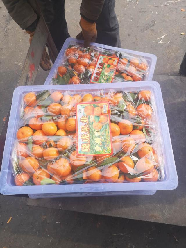 最新吨税科技产品介绍及趋势分析