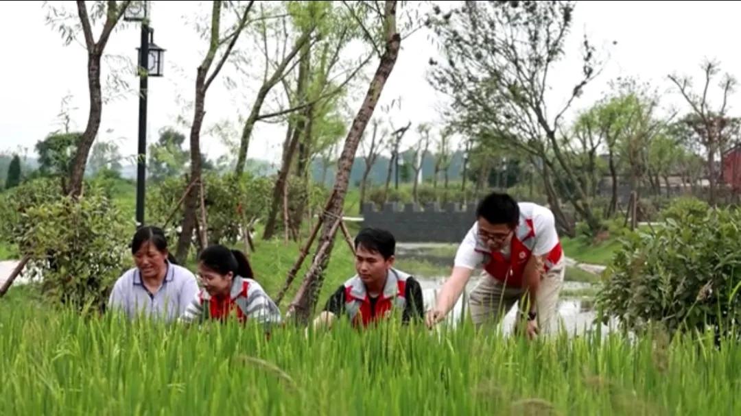 曲阳县城最新招聘信息揭秘，小巷中的独特小店等你来探索！