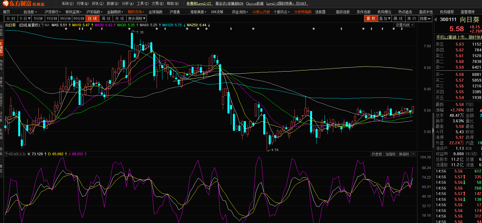 股市小天地，友情大天地——我与股票300141的日常故事分享