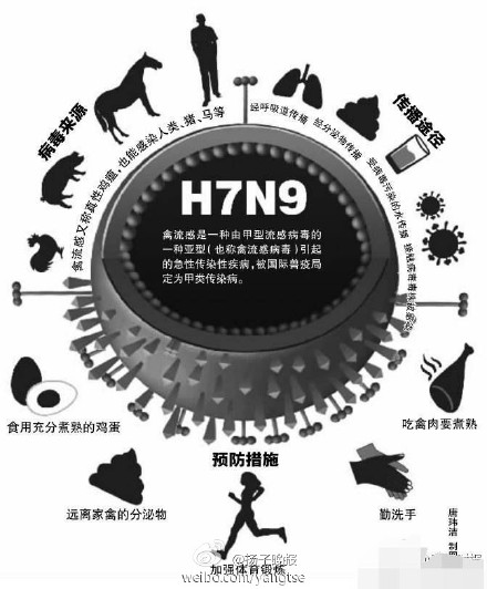 陕西H7N9疫情最新动态及其论述分析