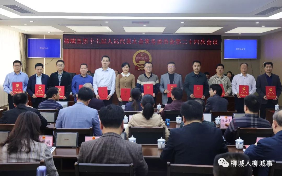 宾川干部任免信息深度解读与个人观点分析