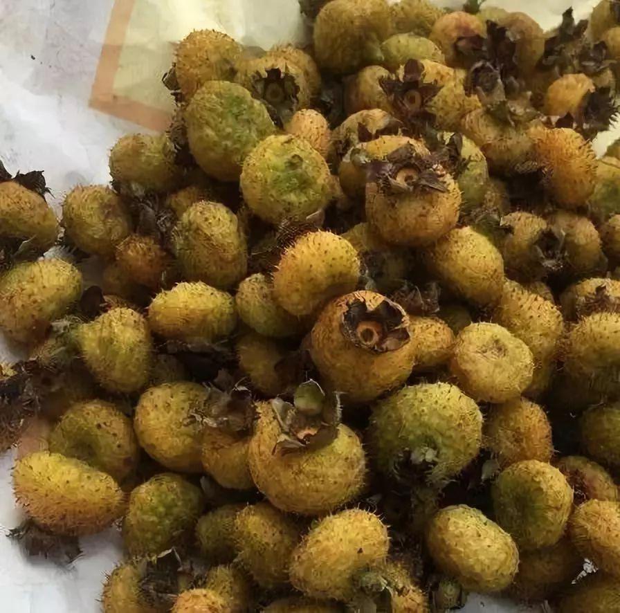 刺梨上市,市场潜力与社会反响深度探讨