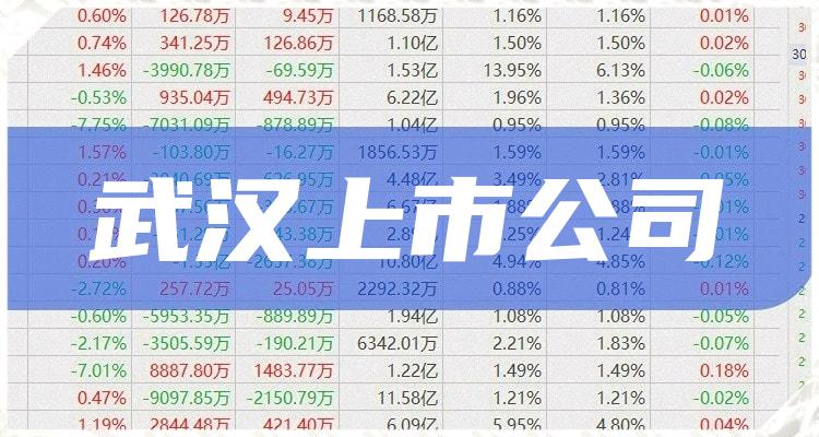 武汉上市公司大盘点,一览众股之精彩!