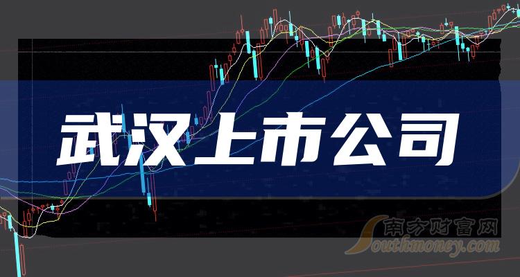 武汉上市公司大盘点,一览众股之精彩!