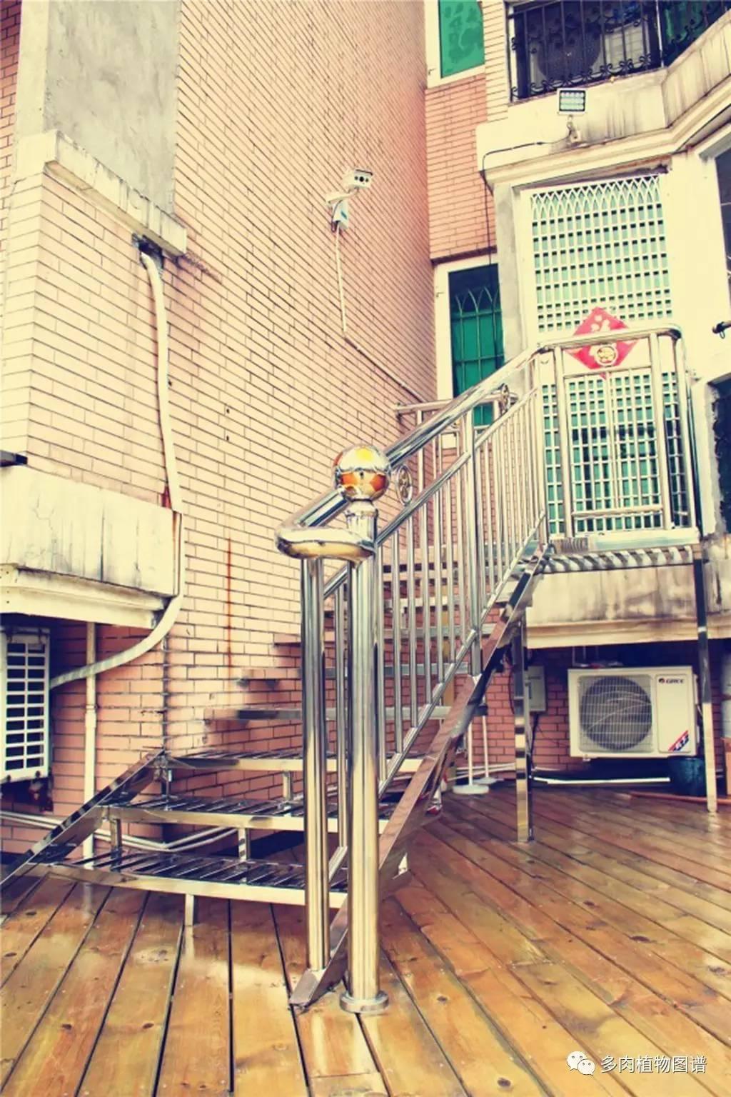 自产自用等同销售的高科技产品介绍，最新科技与商业融合的创新实践