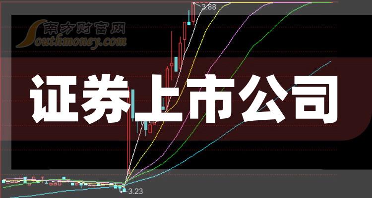 科技巨头引领下的全新视界，股票上市公司概览