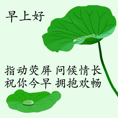 最新疫情动态