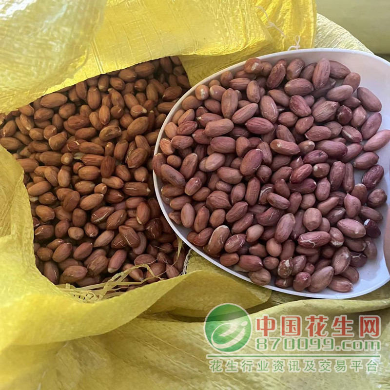 汝南花生米最新市场价格概况