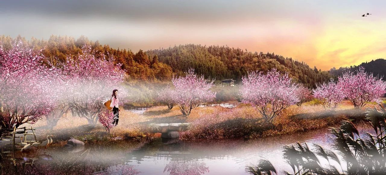 暮色谷桃花源资讯,一段温馨有趣的日常故事之旅