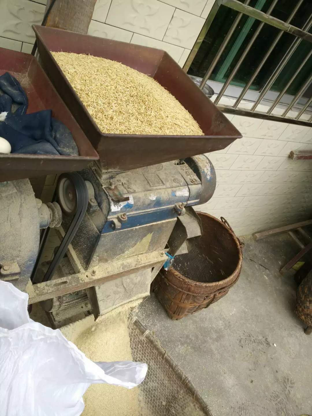 科技碾米,品质生活新体验与现碾米店行情分析