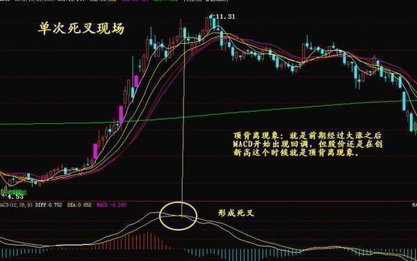 科技前沿与股票新纪元，最新高科技产品体验介绍与股票解析