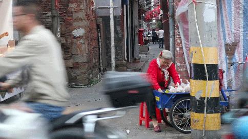 豌豆最新动态,巷弄中的美味奇遇