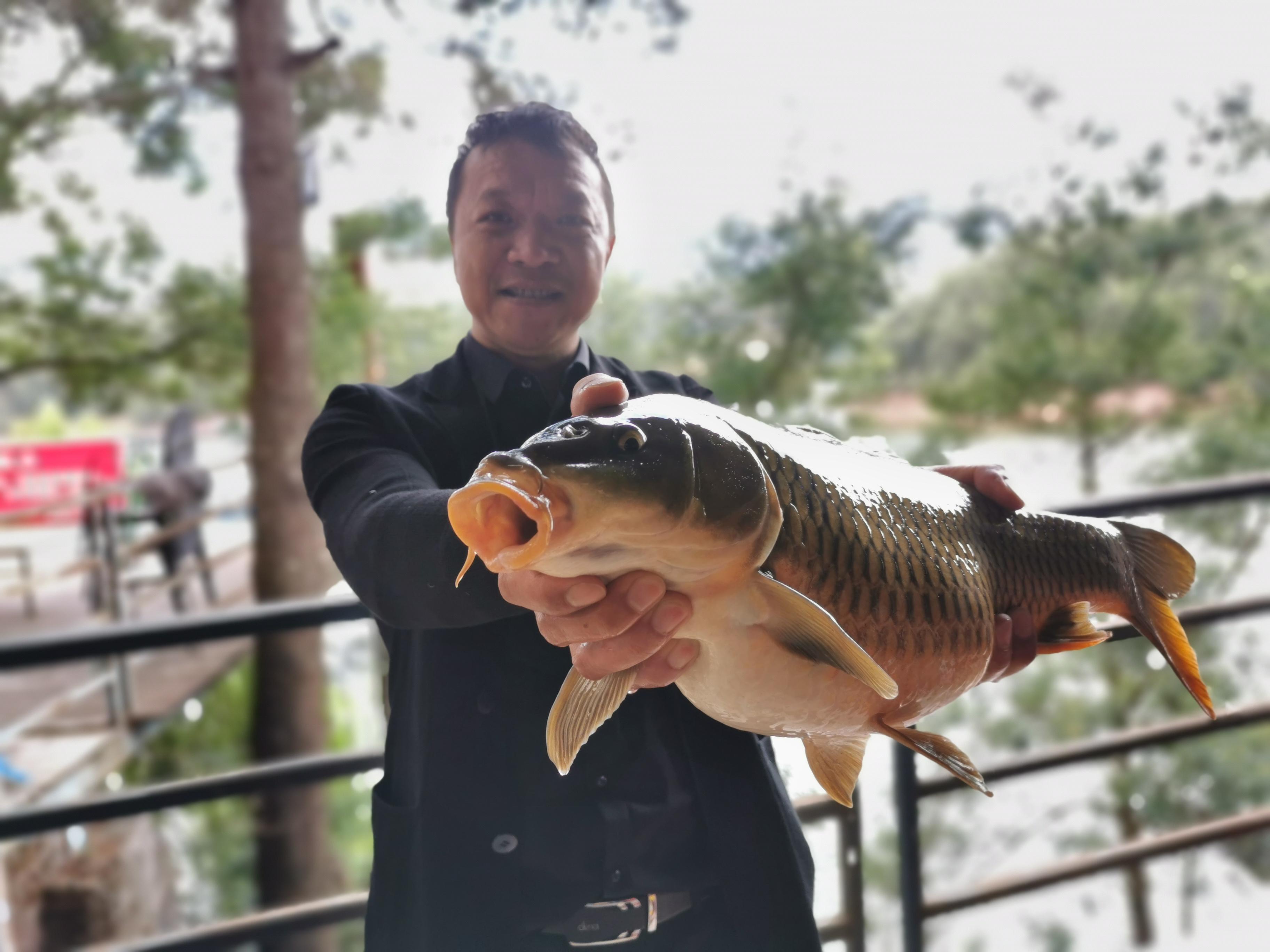 昆明最新野钓地点探索,重拾生活激情与自信的自然之旅