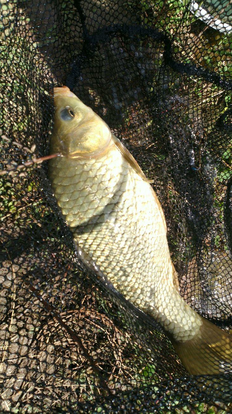昆明最新野钓地点探索,重拾生活激情与自信的自然之旅