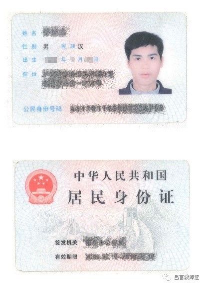 最新证照，友情与陪伴的温馨故事之旅