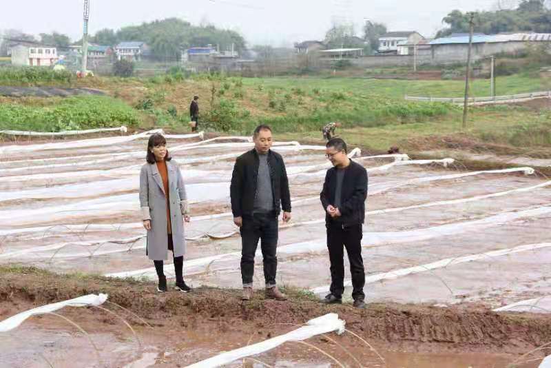 灯饰灯具 第135页