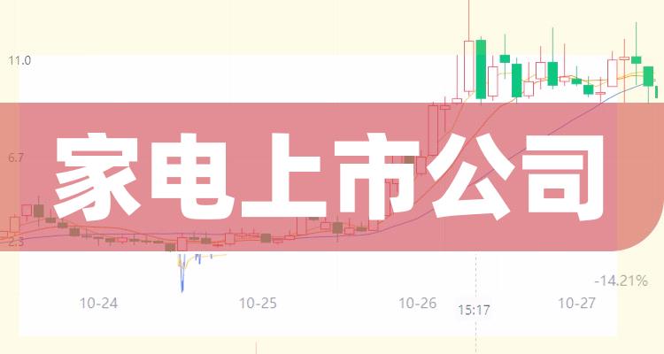 家电行业上市公司的高科技产品概览