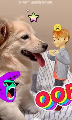 崽崽最新版下载，一段充满爱与陪伴的温馨旅程