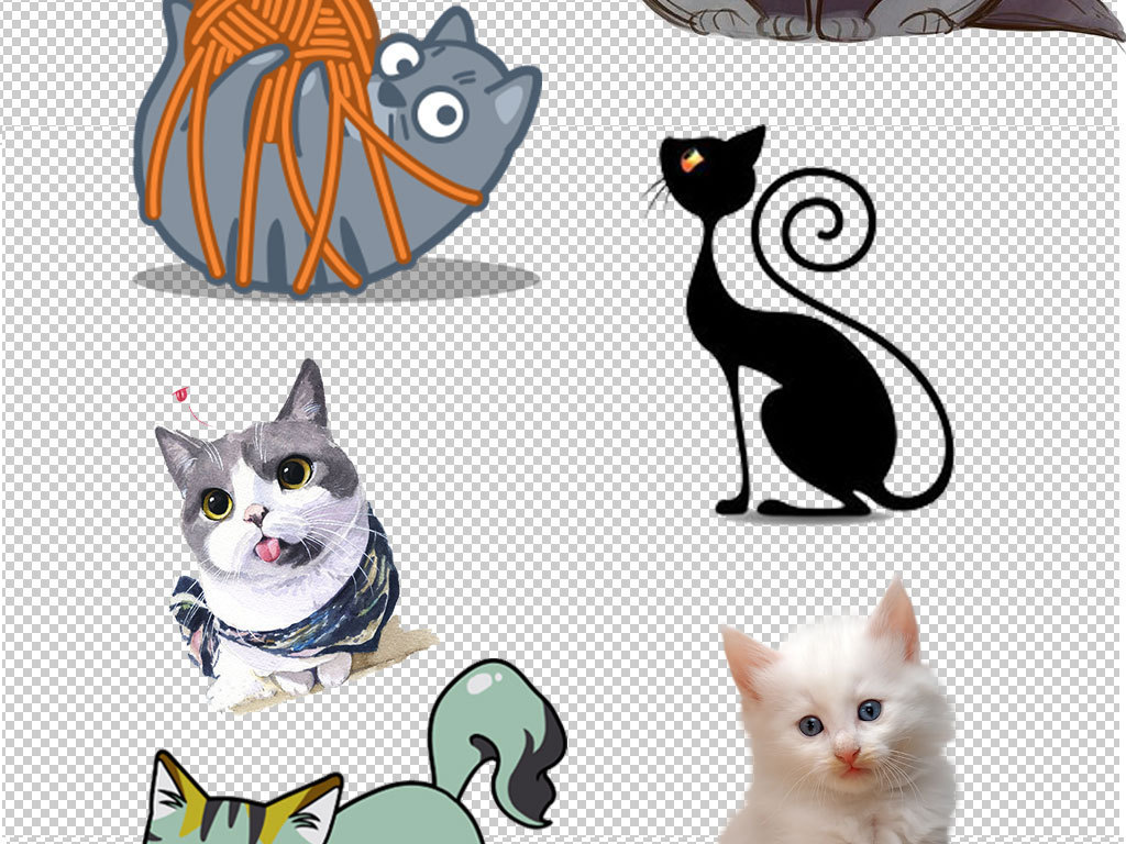 动漫小猫图片，制作指南与精选图片欣赏