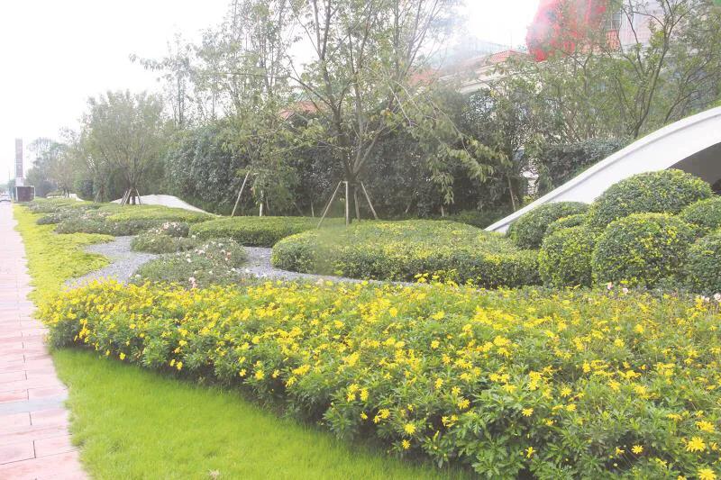 嬢王演员的自然之旅，邂逅美景，寻找内心平和之道