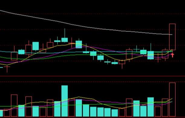 融捷最新公告详解，任务完成指南与技能学习步骤全面解析