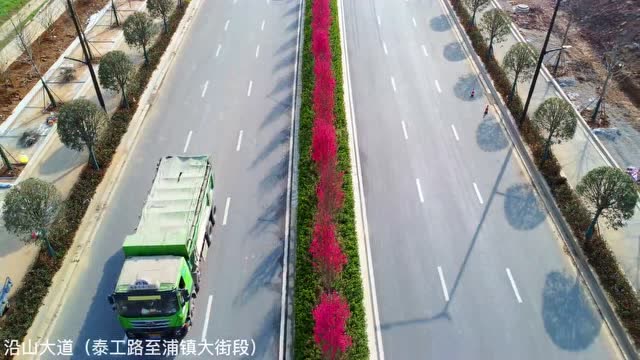 关花大道最新进展，瞩目盛景呈现！