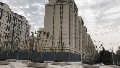 赵村最新动态，乡村振兴新篇章开启