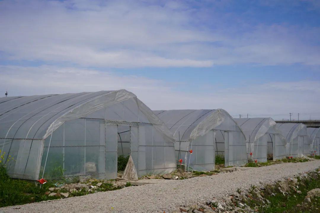 宅基地上市交易开启土地交易新篇章