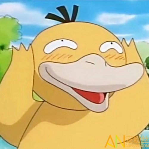 可达鸭资讯更新观点深度解析