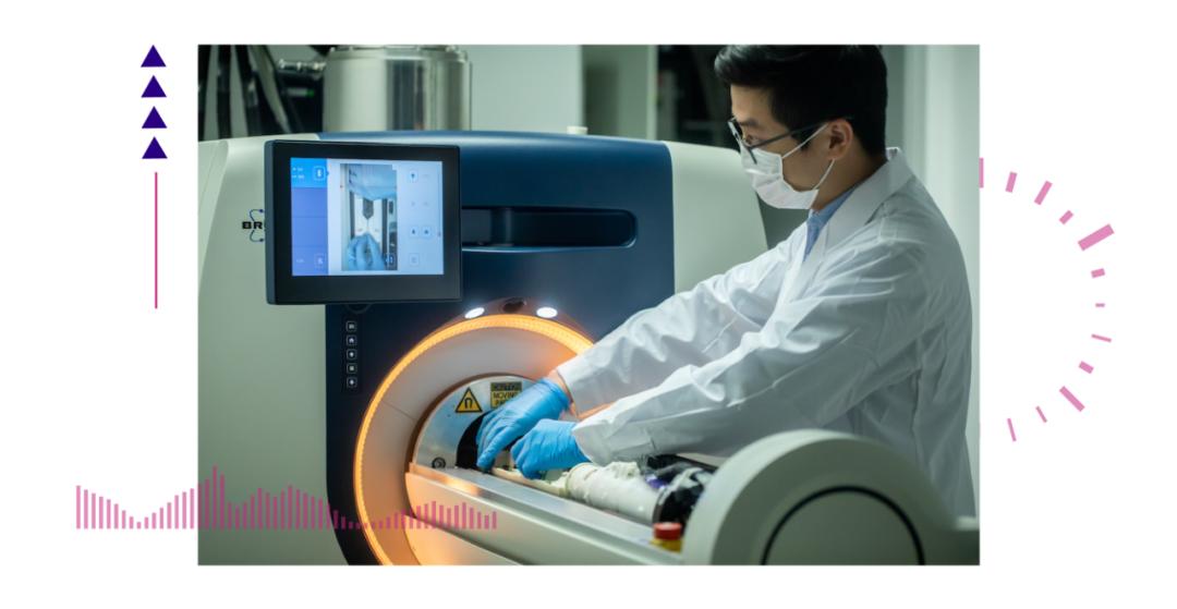 香港脊髓研究取得新进展，探索自然美景的心灵之旅新篇章