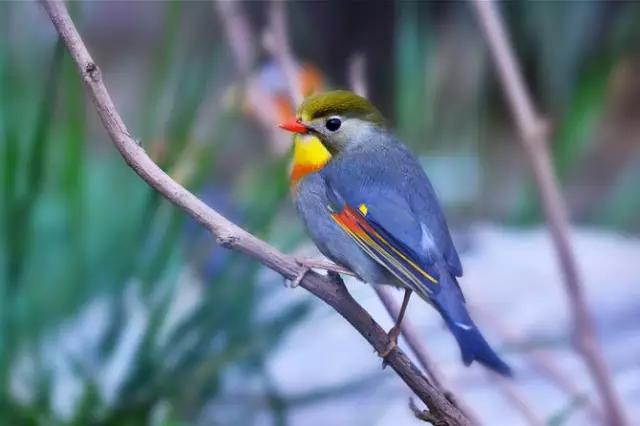 工程厂房灯具 第159页