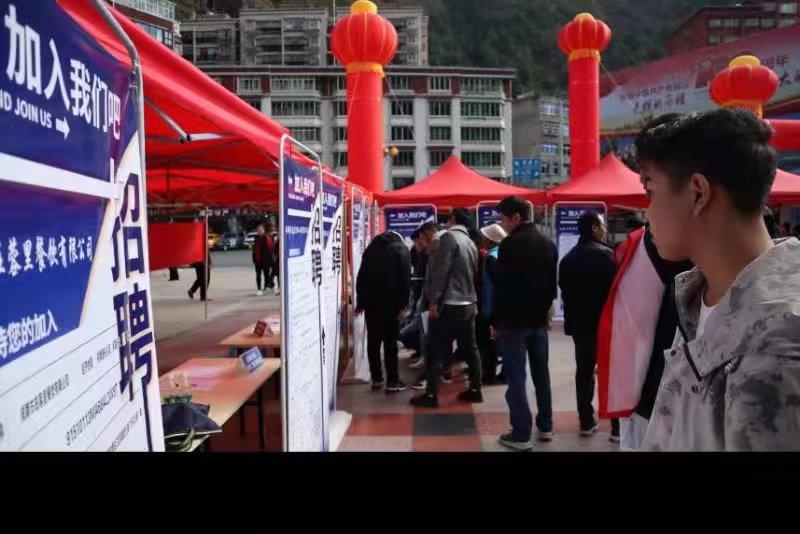 青白江招聘信息探索，小巷中的职业机遇