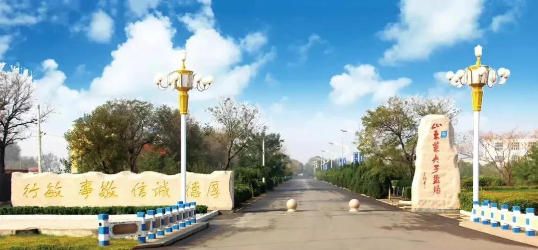 最新票据乱象调查步骤指南揭秘