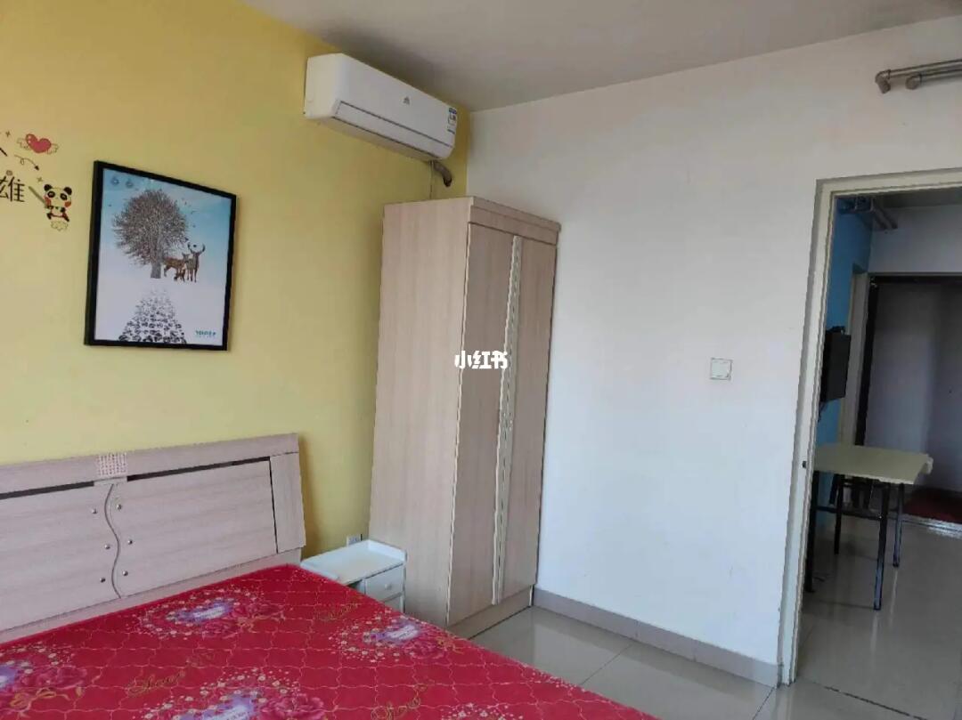 保定一室一厅租房信息深度回顾与洞察