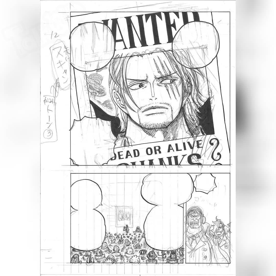 海贼王通缉令最新，时代浪潮中的海贼传奇