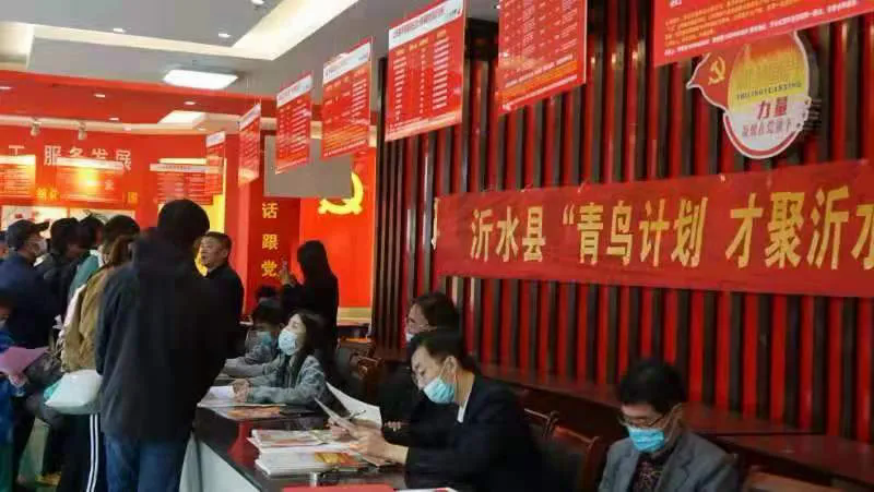 沂水县最新招聘信息概览发布,最新岗位一网打尽!