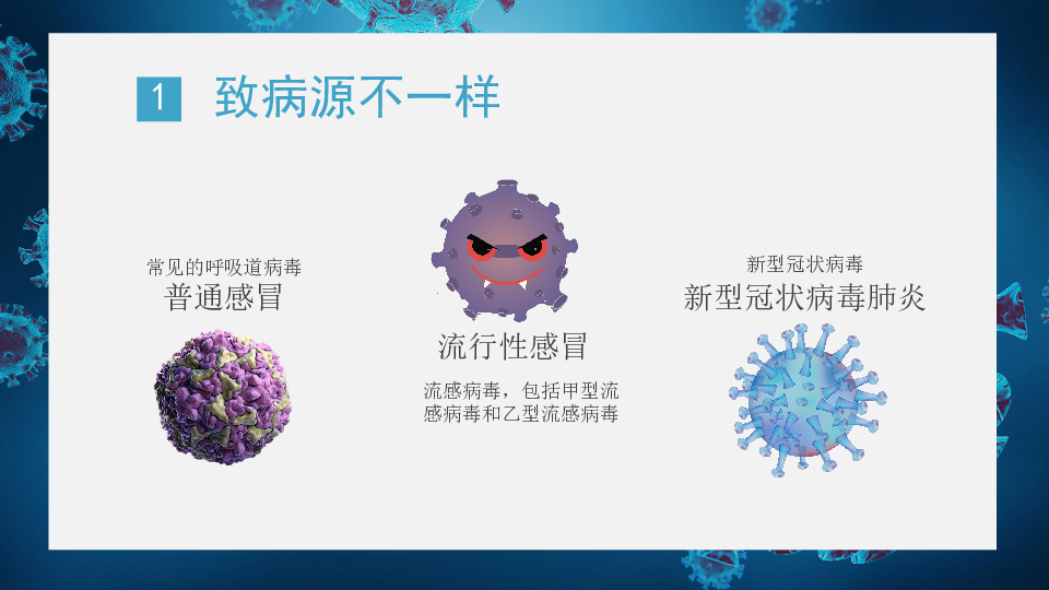 最新感冒病毒研究及小巷特色小店探秘揭秘