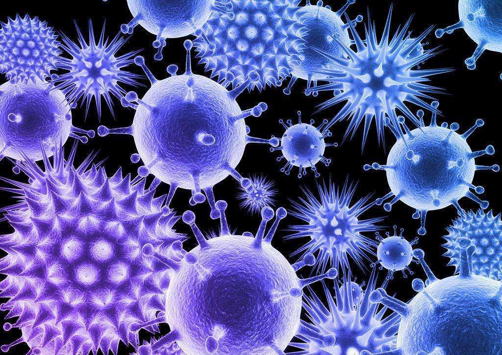 最新感冒病毒研究及小巷特色小店探秘揭秘