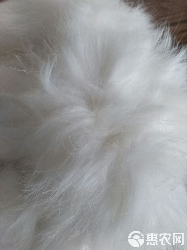 工程厂房灯具 第145页