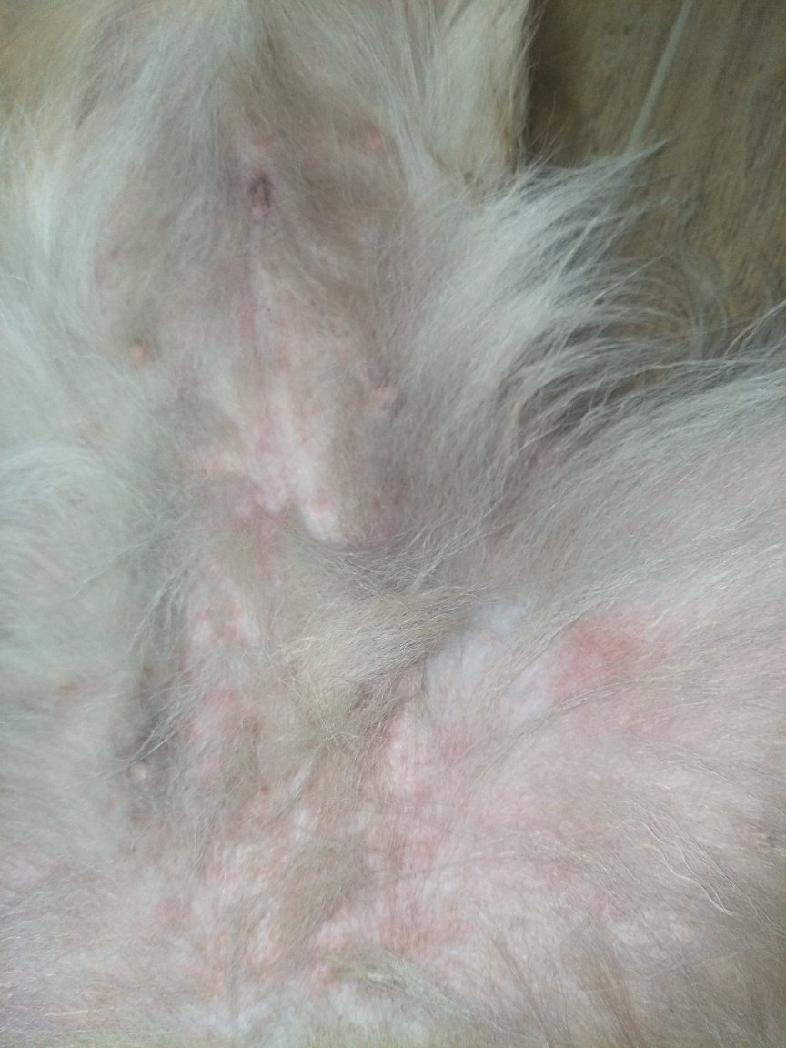 最新毛网,学习变化,自信助力梦想翱翔!